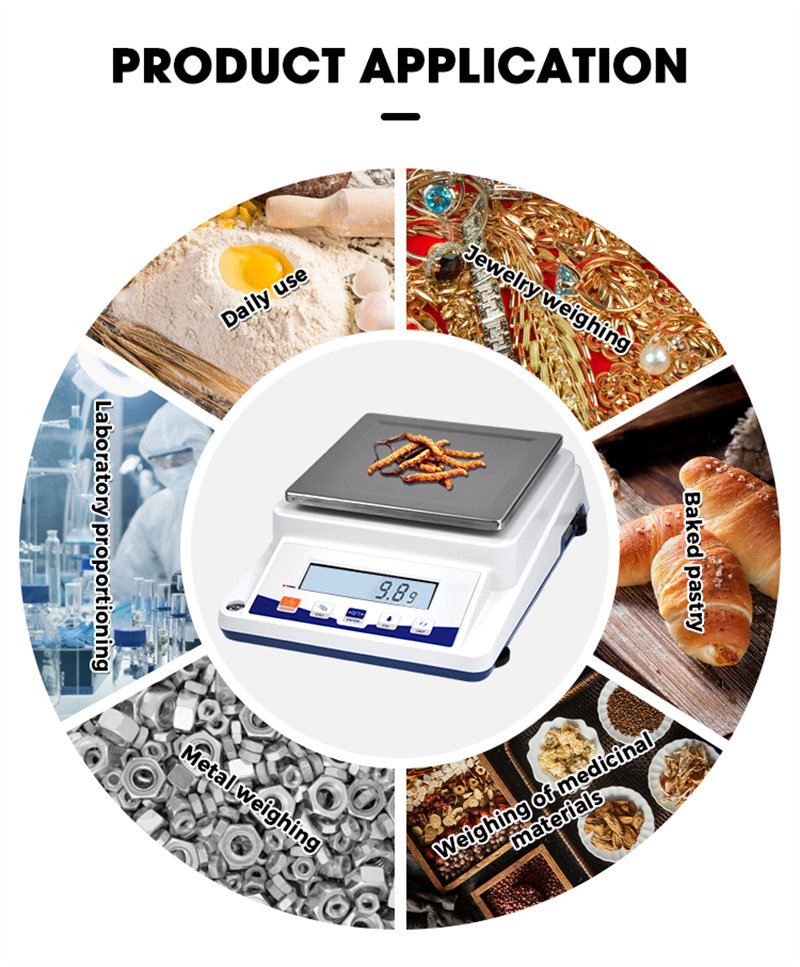 SKZ-C Precision Electronic Balance