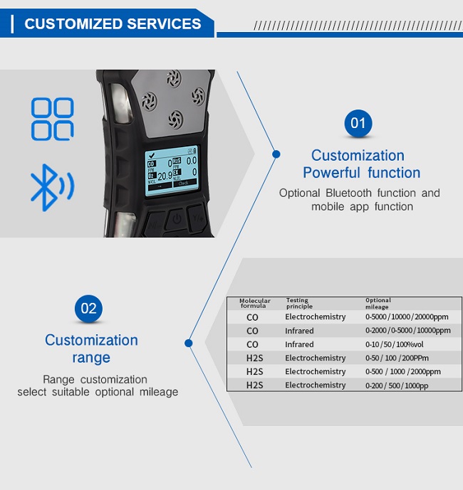 Handheld Hydrogen Sulfide Gas Monitor SKZ2054