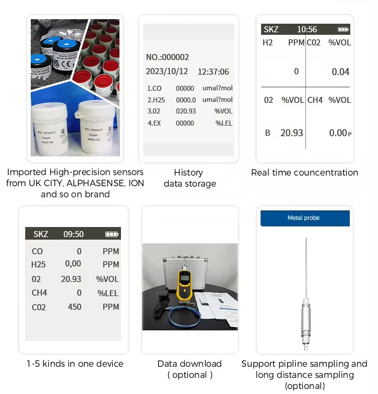 NH3 H2S 2 In 1 Portable Multi Gas Detector