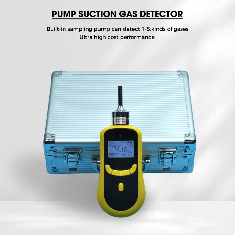 NH3 H2S 2 In 1 Portable Multi Gas Detector